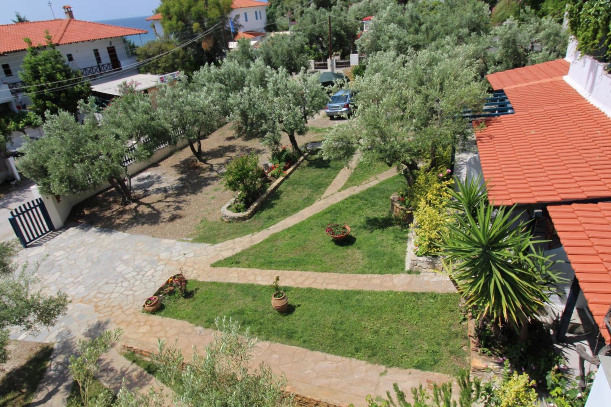 Olive House Apartment Elia Nikitis Exterior photo