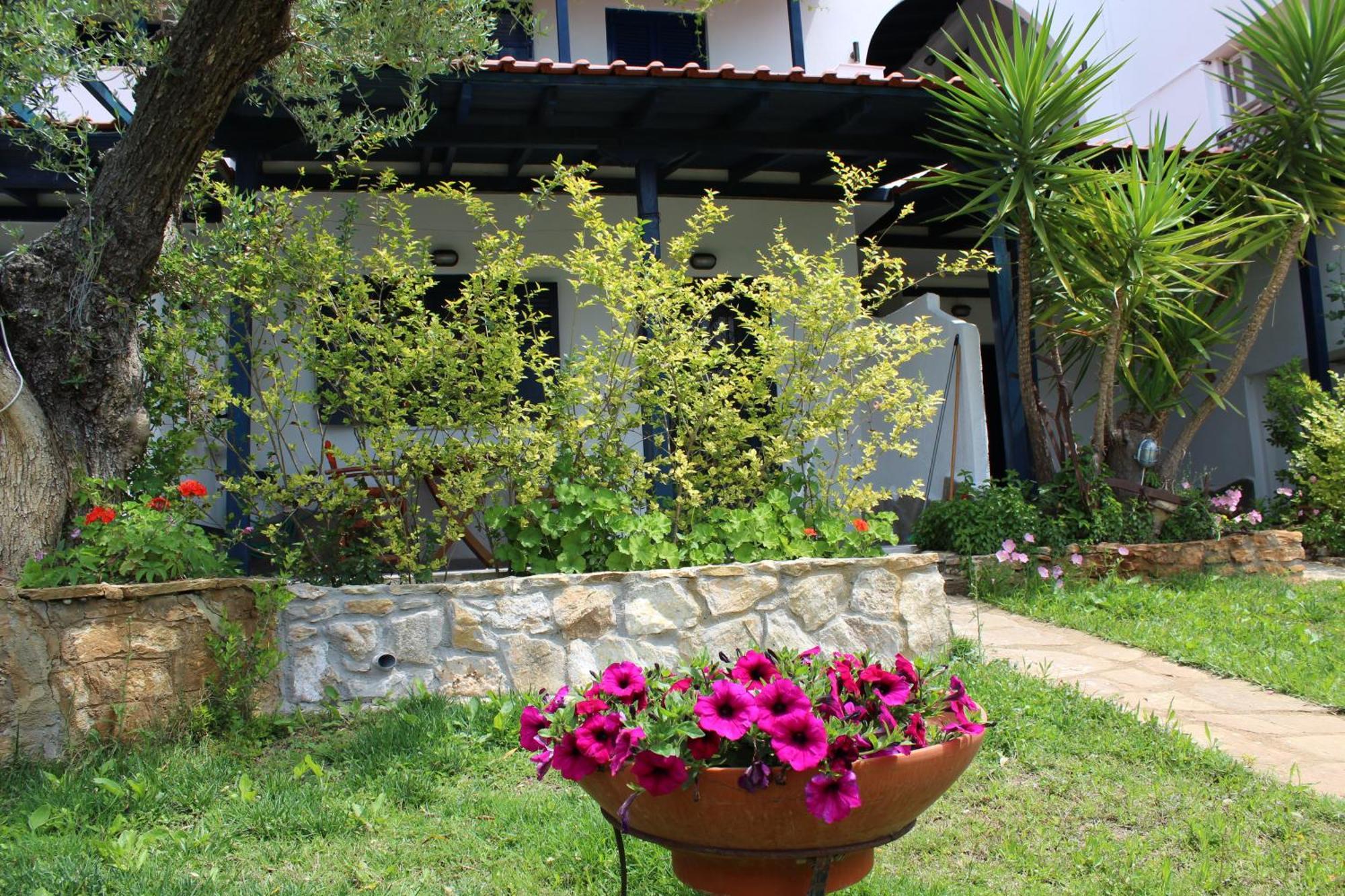 Olive House Apartment Elia Nikitis Exterior photo