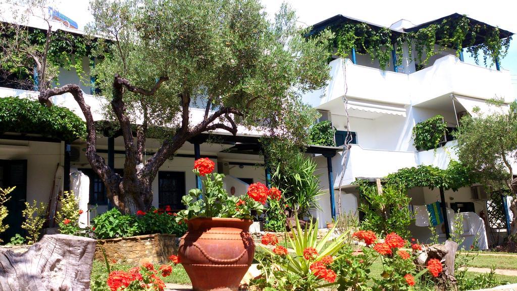 Olive House Apartment Elia Nikitis Exterior photo