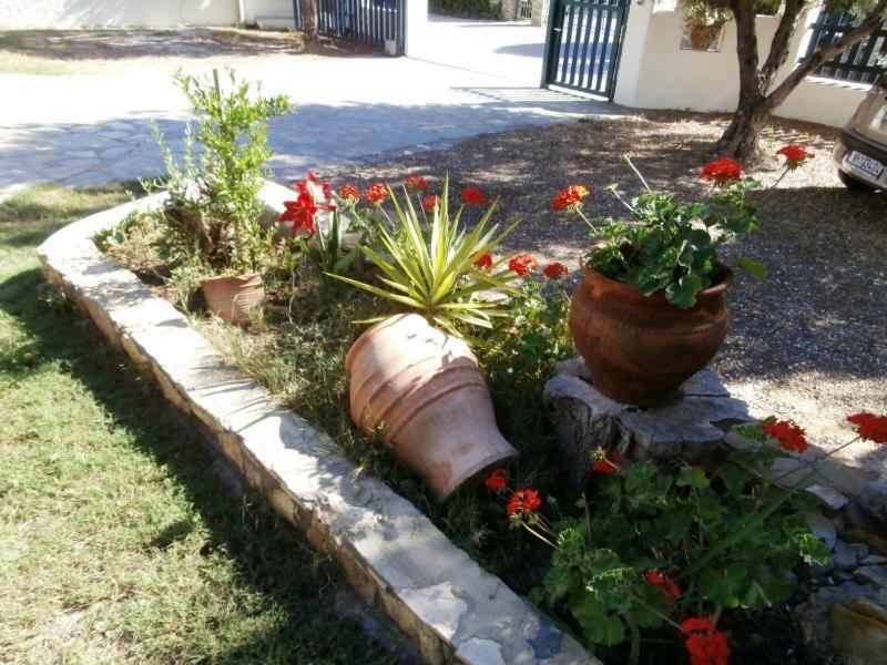 Olive House Apartment Elia Nikitis Exterior photo